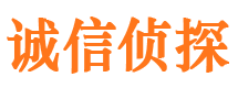 原阳寻人公司